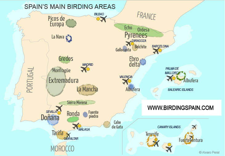 Map of the main birding areas of Spain Map of the main birding areas of Spain